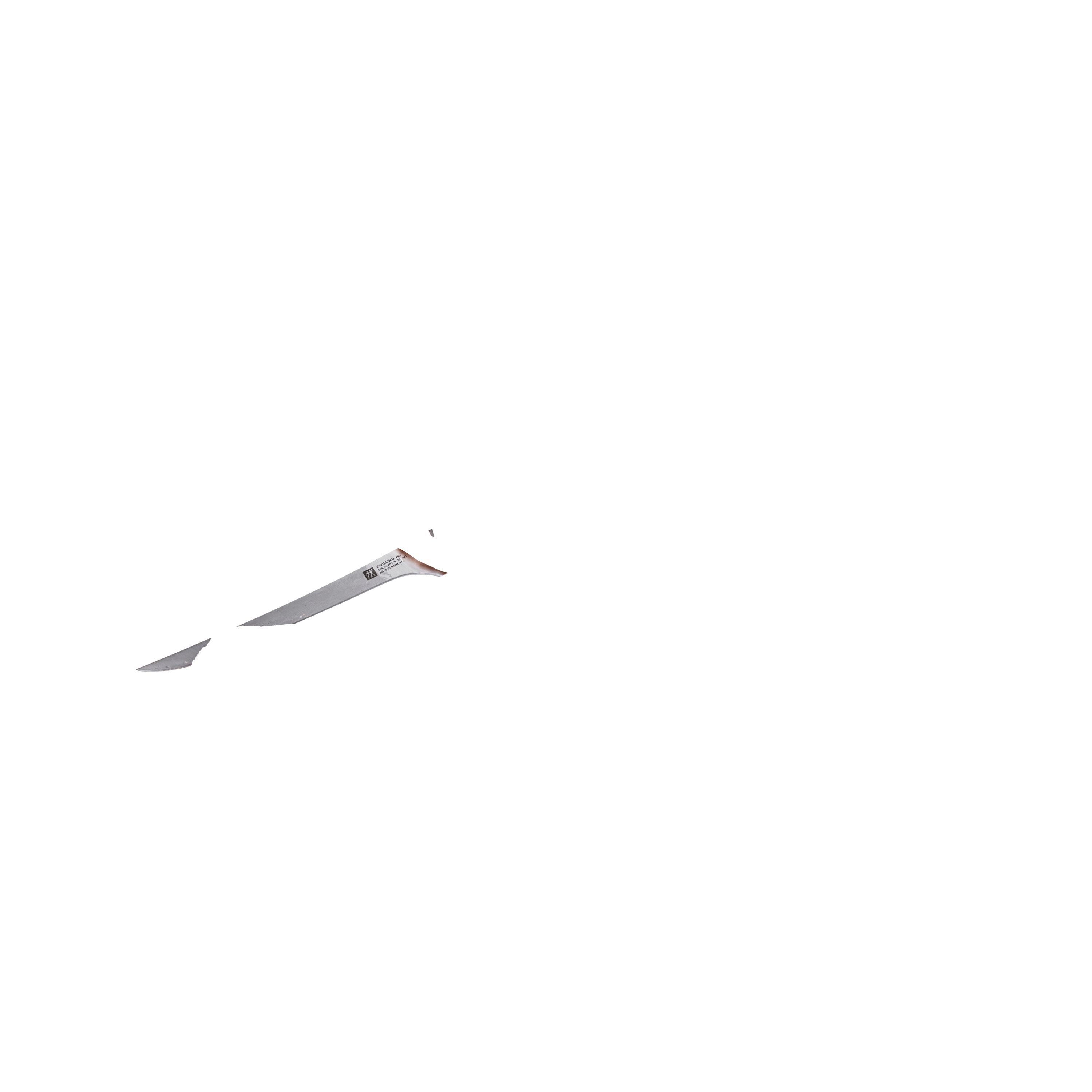 Coltello Per Filettare G-20 Flessibile - De Luca