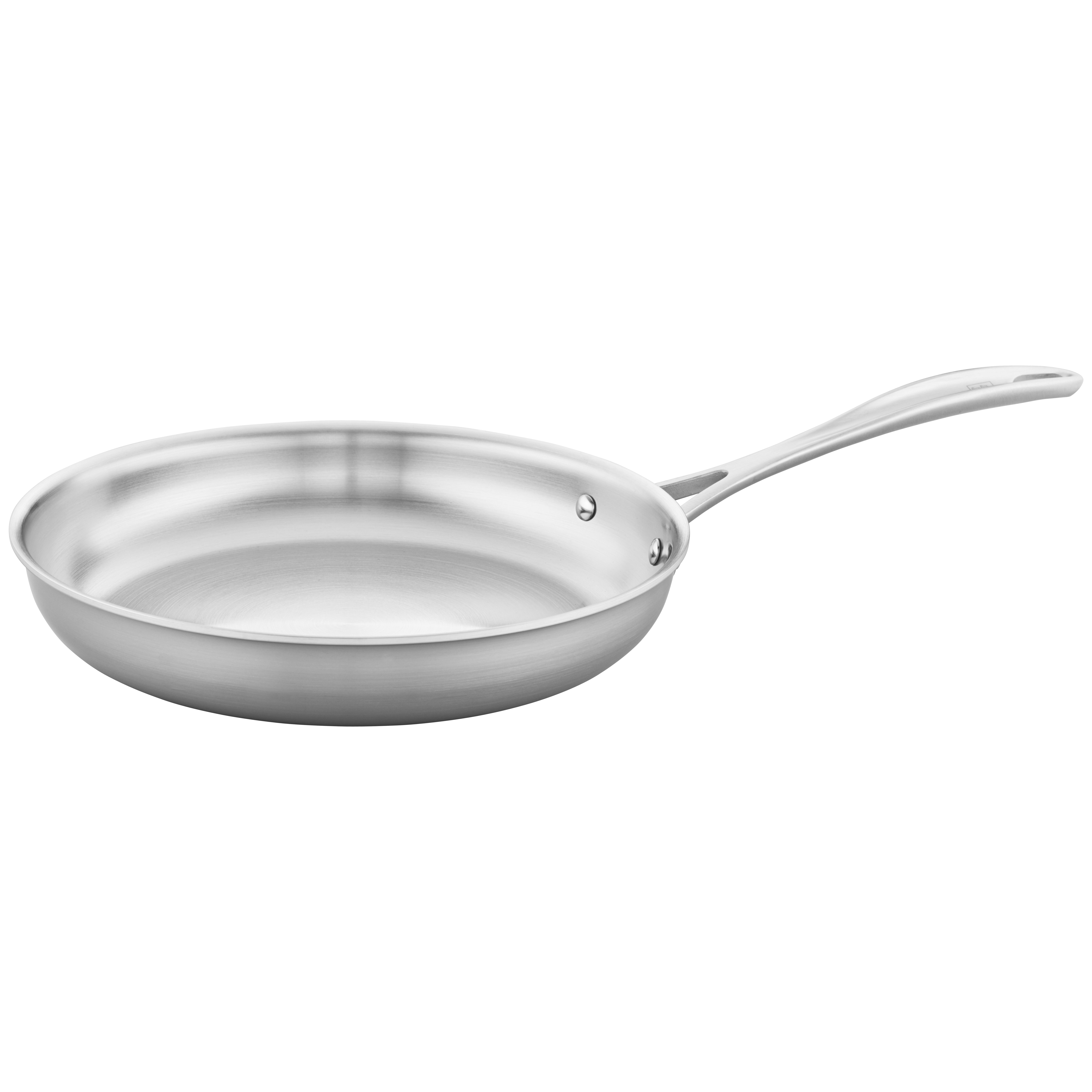 10 Inch Stainless Steel Pan