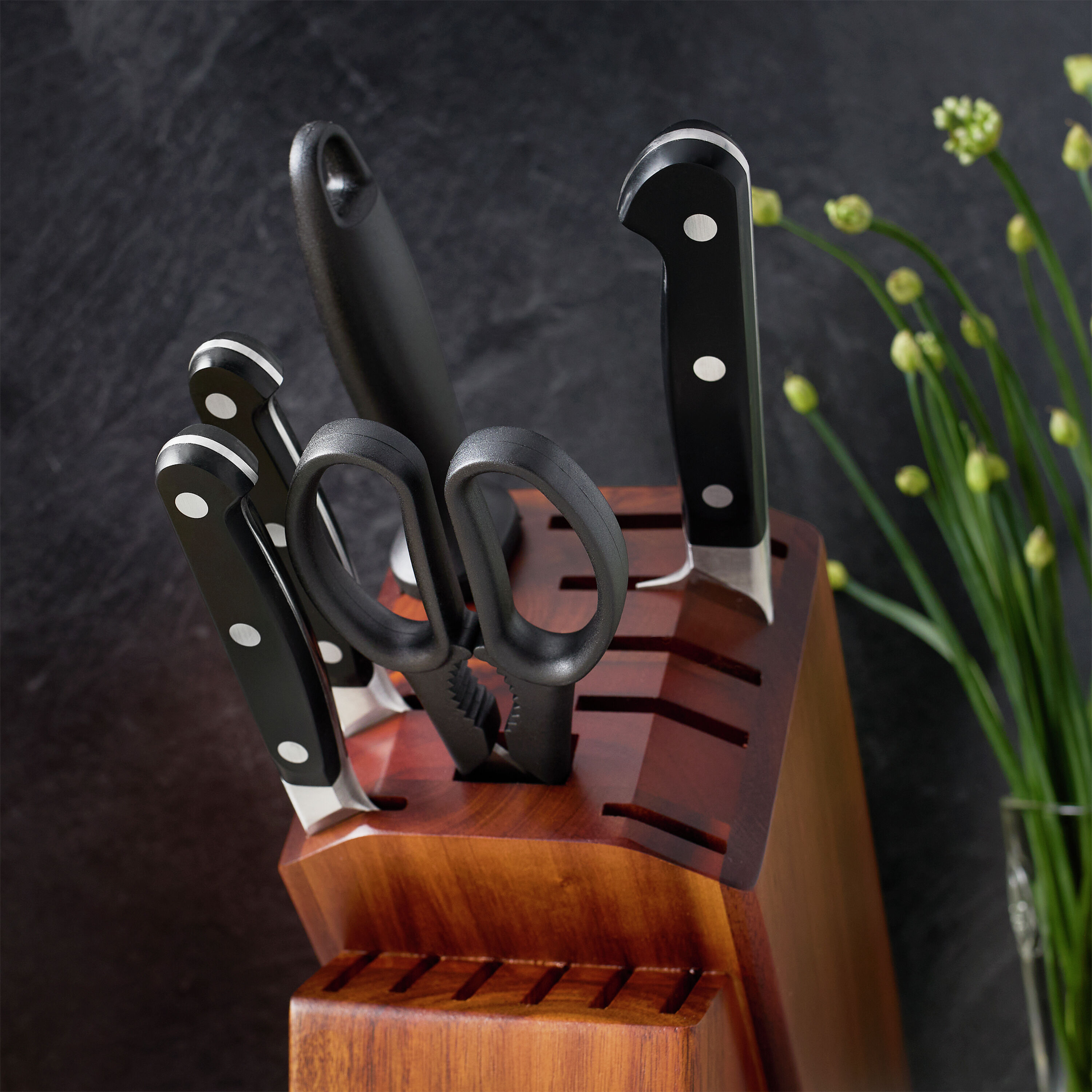 Buy ZWILLING Pro Knife block set | ZWILLING.COM