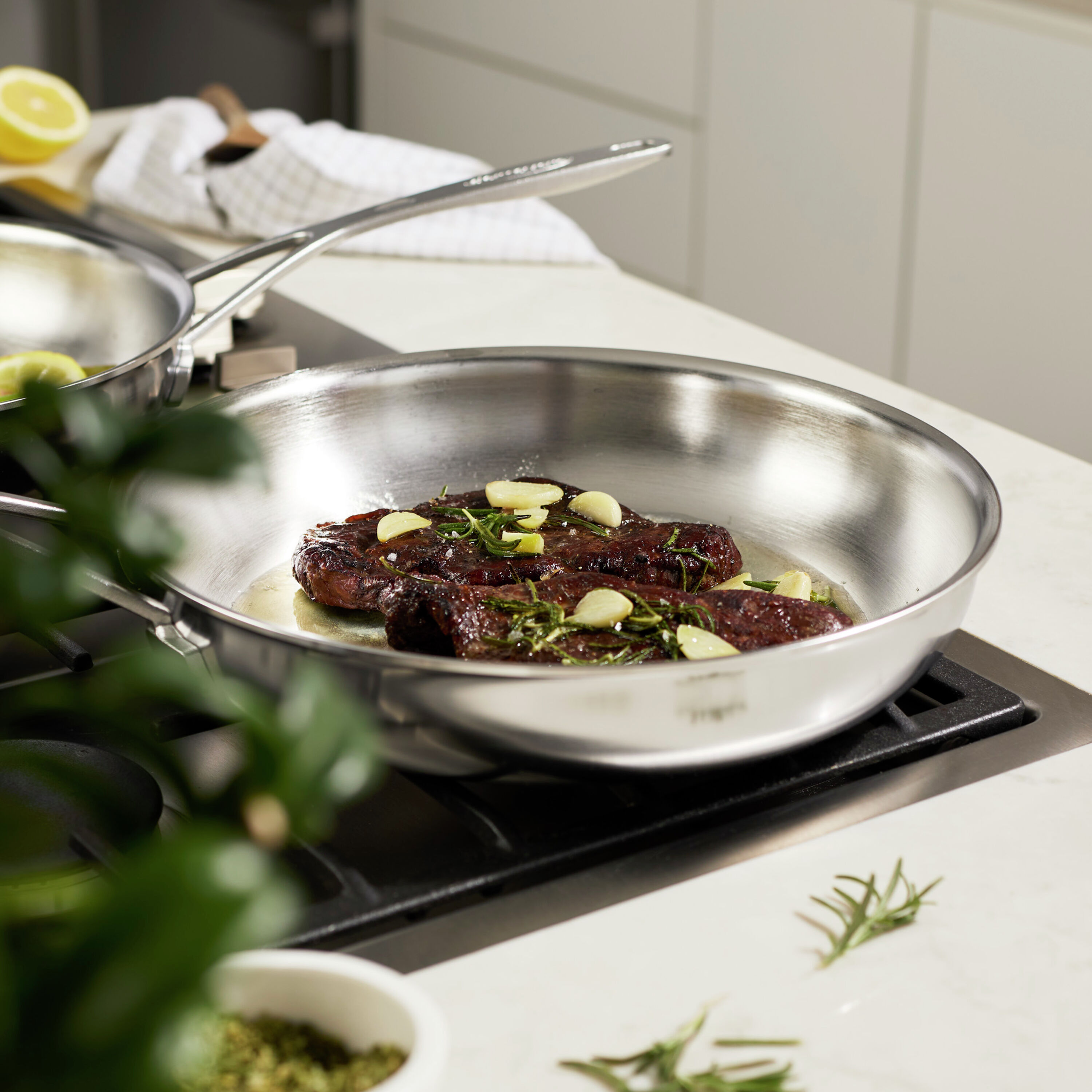 Buy Demeyere Industry 2-pc Stainless Steel Fry Pan Set | ZWILLING.COM