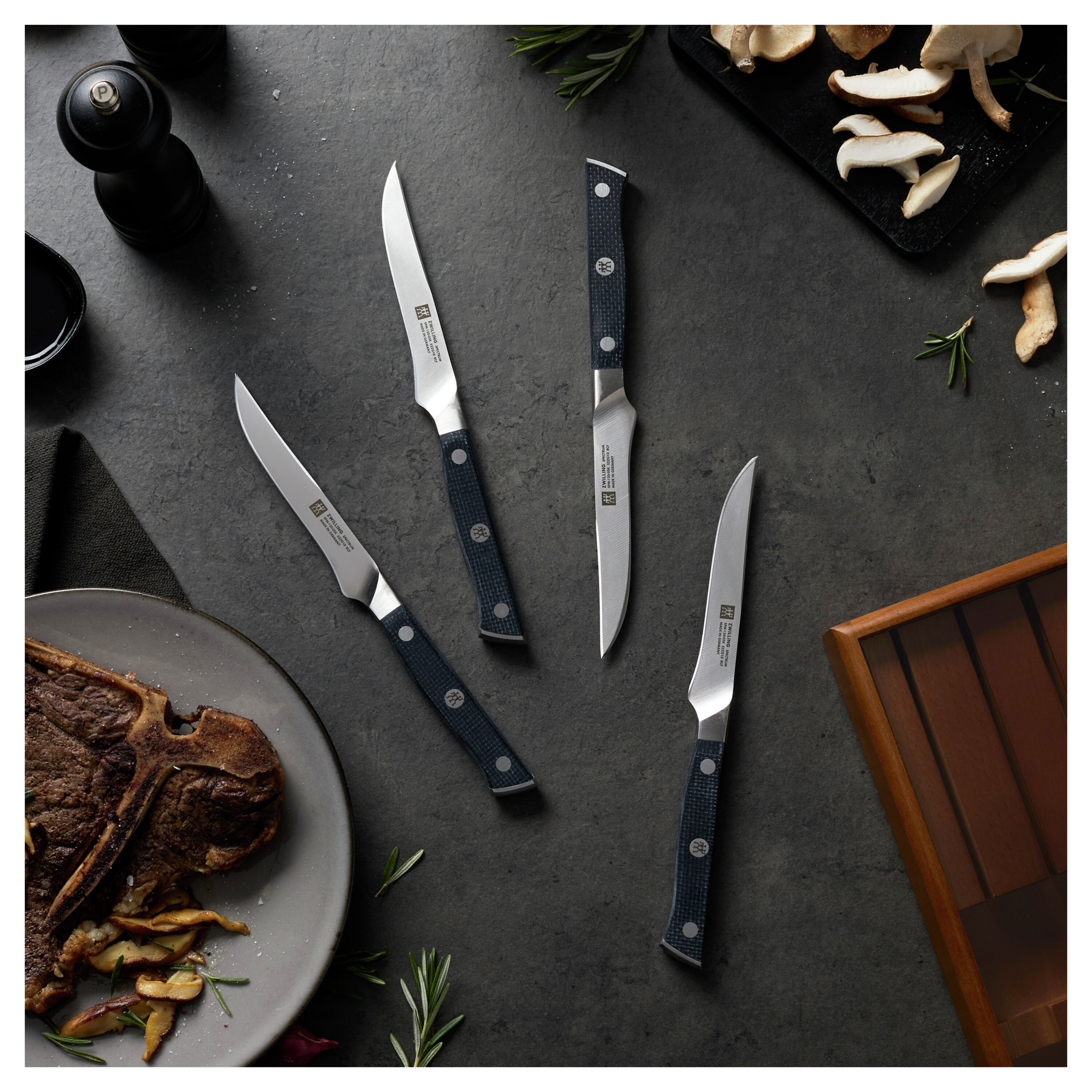 Buy ZWILLING Spectrum Steak set | ZWILLING.COM