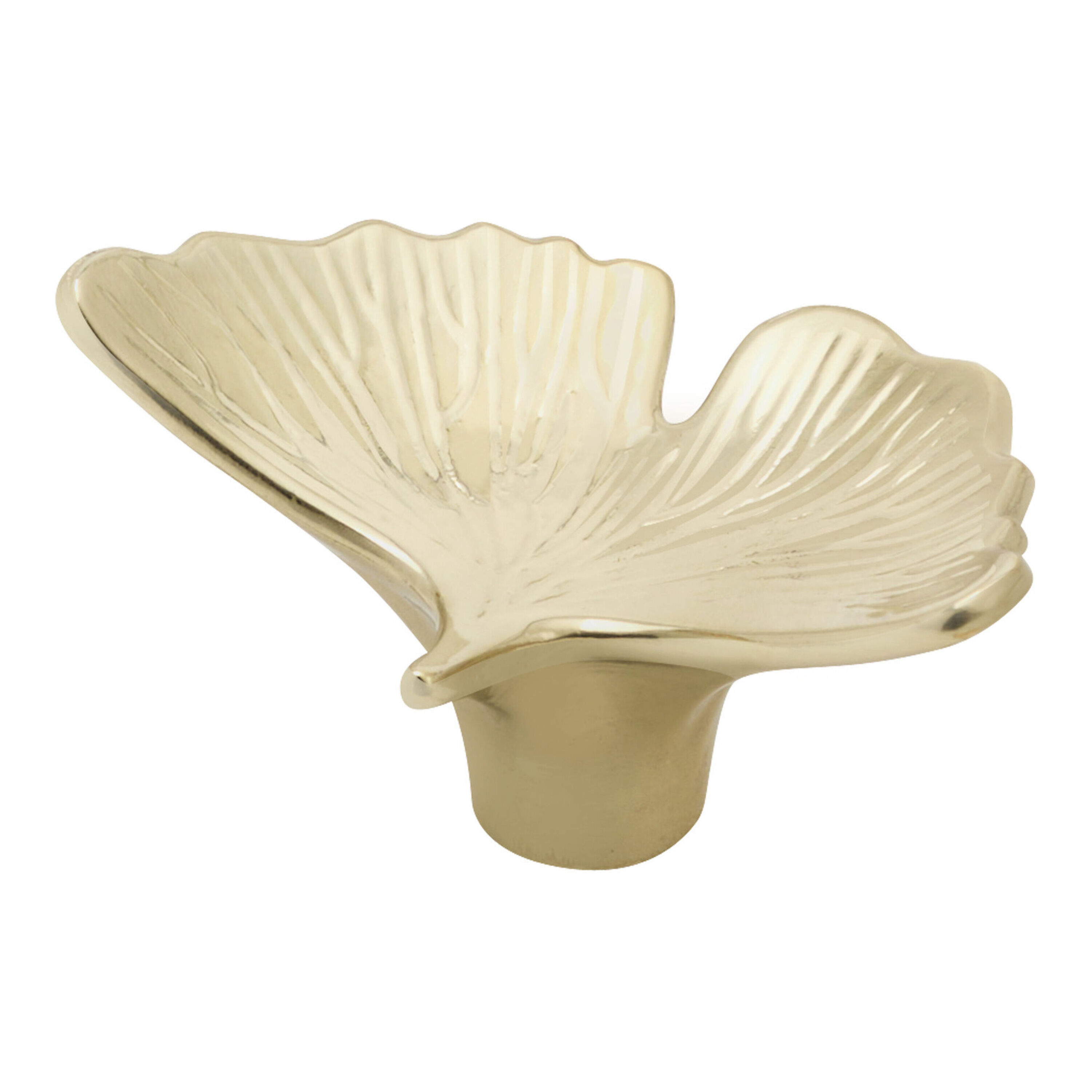 Gingko Dutch Oven Knob