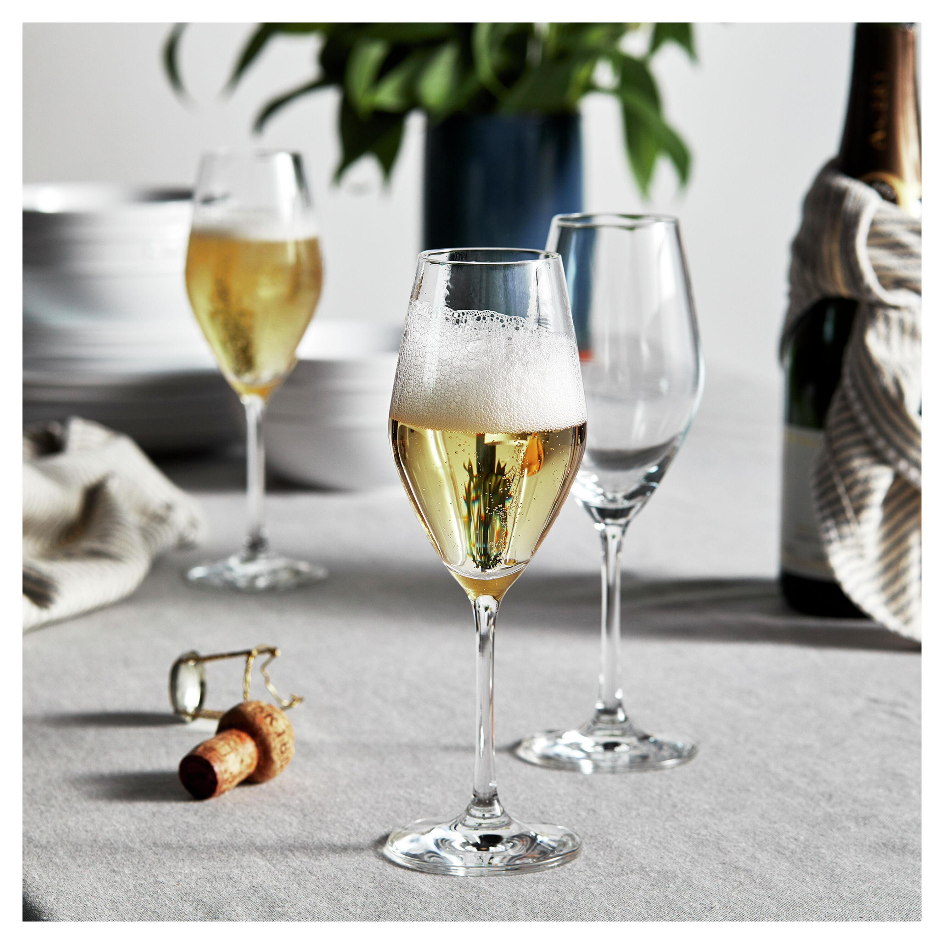 ツヴィリング プレディカット シャンパングラスセット | ツヴィリング