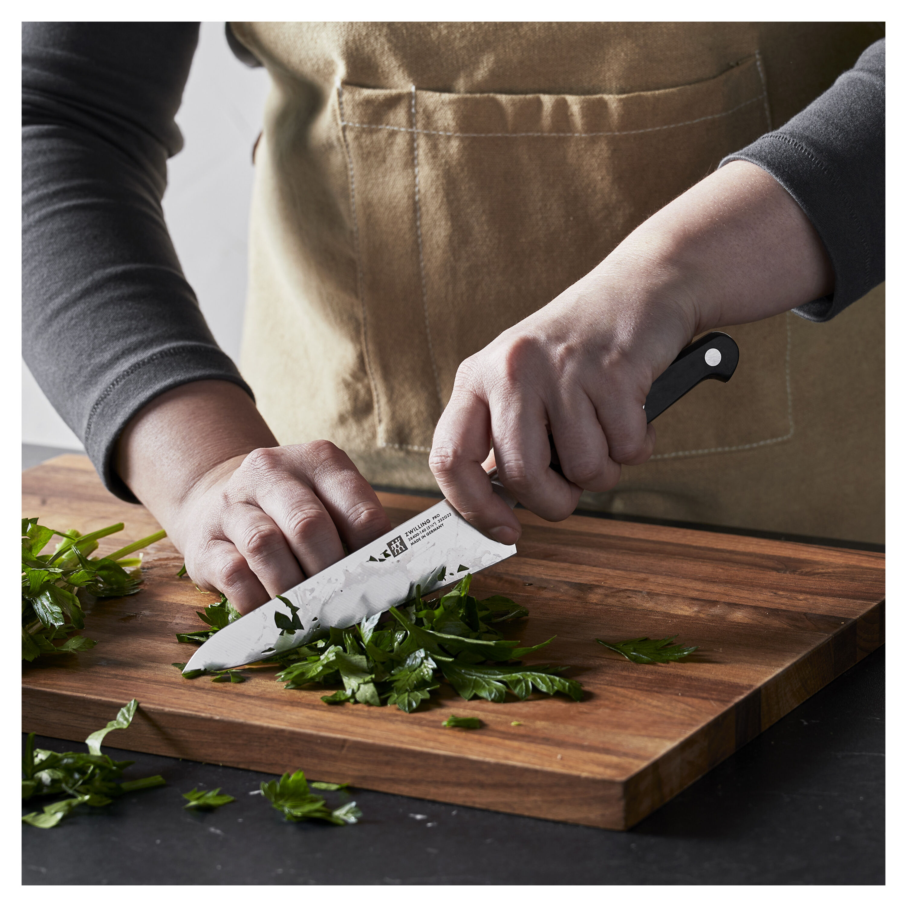 Buy ZWILLING Pro Chef's knife compact | ZWILLING.COM