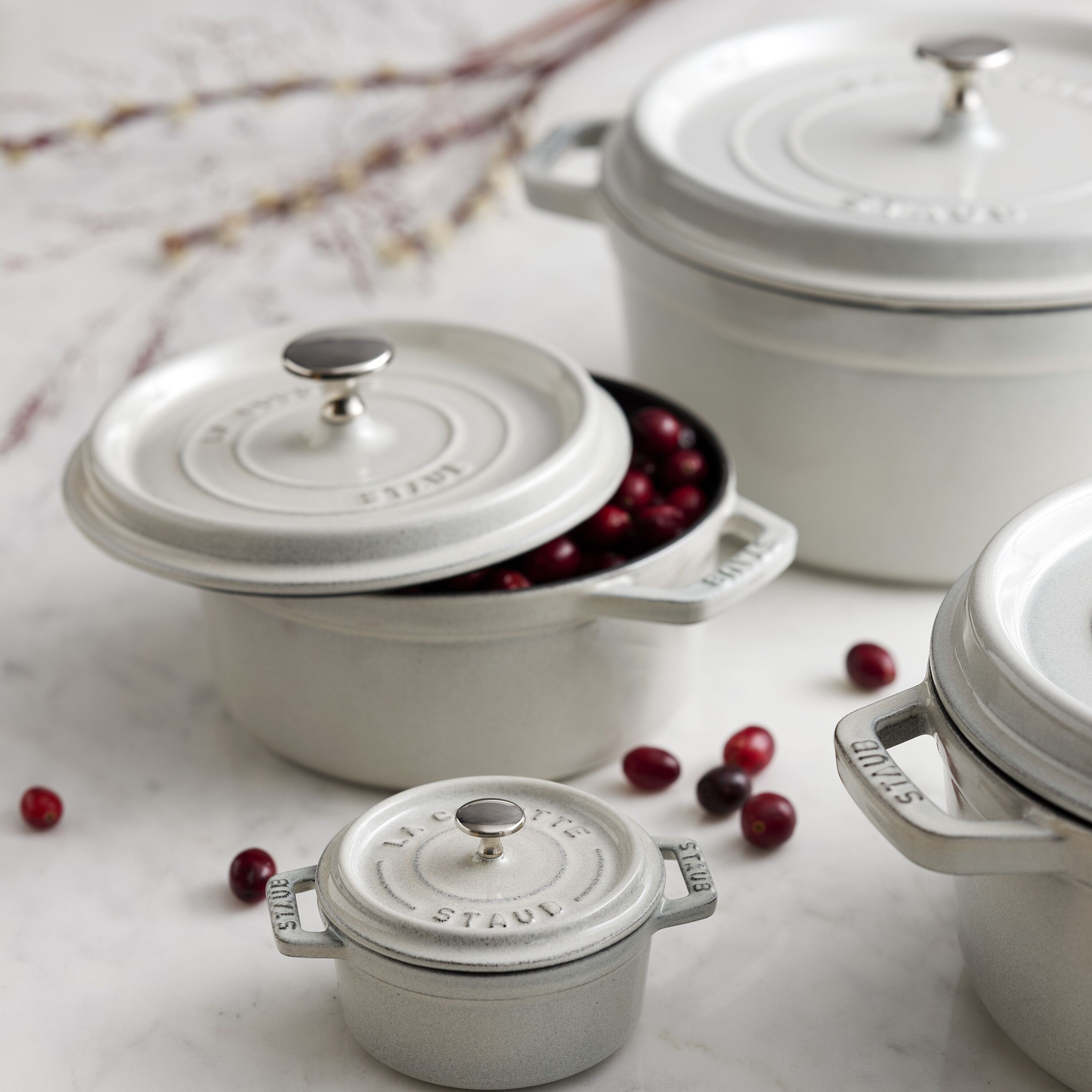 ストウブ 鋳物ホーロー鍋 ピコ・ココット | ツヴィリング公式