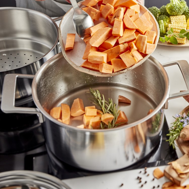 Buy Demeyere Industry 5 Stew pot with lid | ZWILLING.COM