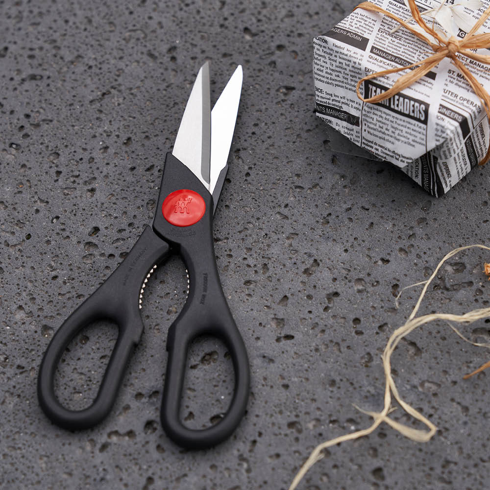 https://www.zwilling.com/on/demandware.static/-/Sites-zwilling-us-Library/default/dw917d4103/images/product-content/masonry-content/zwilling/tools-gadgets/kitchen-shears/43967-200-0_Lifestyle_Image_Product_OS_750x750_1.jpg