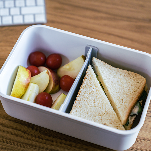 FreshBox™ Multi-Compartment Lunchbox – Shop Homea